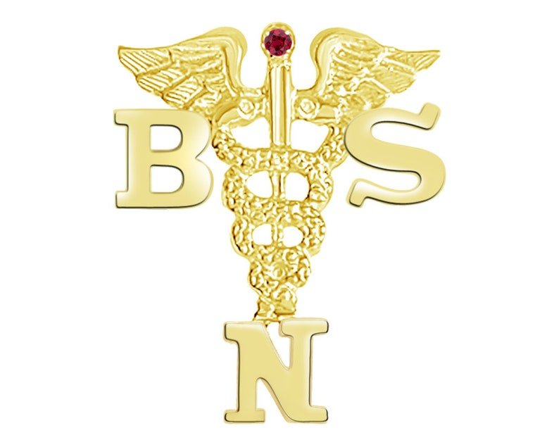 14K Gold BSN Graduation Nursing Pin - NursingPin.com