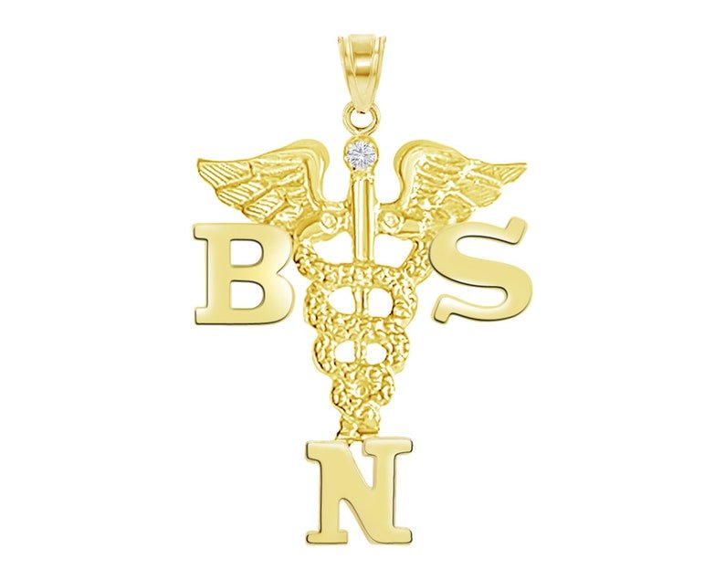 14K Gold BSN Nurse Charm Pendant
