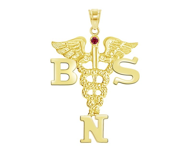 14K Gold BSN Nurse Charm Pendant - NursingPin.com