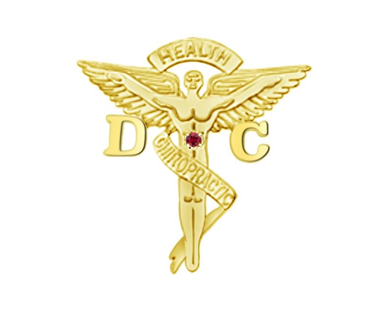 14K Gold DC Chiropractor Graduation Pin - NursingPin.com