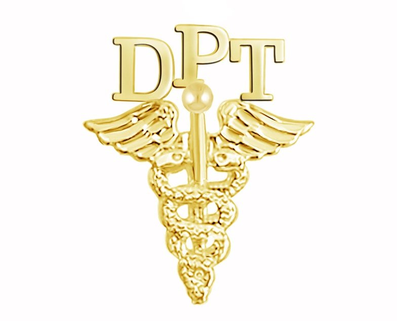 14K Gold DPT Dr of Physical Therapy Pin - NursingPin.com