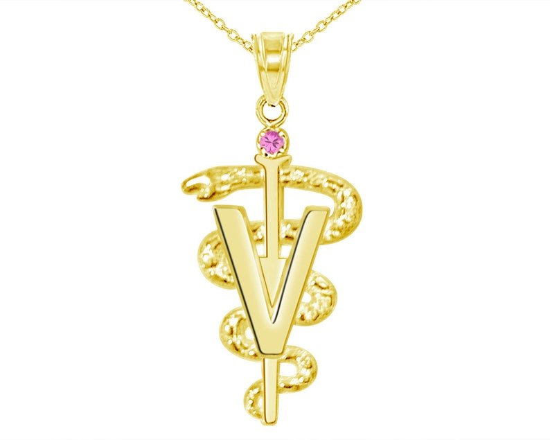 14K Gold DVM Dr of Veterinary Medicine Necklace - NursingPin.com