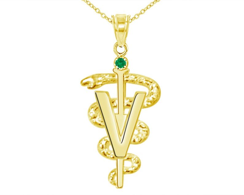 14K Gold DVM Dr of Veterinary Medicine Necklace - NursingPin.com