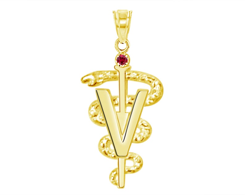 14K Gold DVM Veterinarian Graduate Charm - NursingPin.com