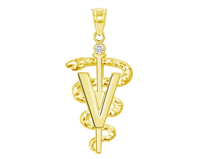 14K Gold DVM Veterinarian Graduate Charm - NursingPin.com