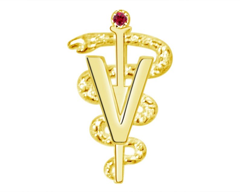 14K Gold DVM Veterinarian Graduation Pin - NursingPin.com