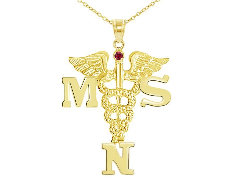 14K Gold MSN Masters Nurse Necklace - NursingPin.com