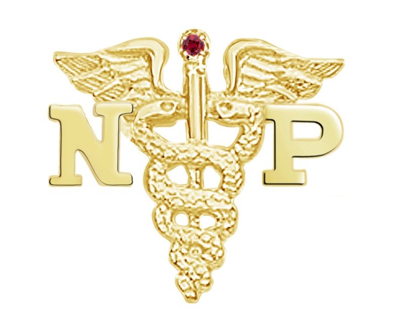 14K Gold NP Nurse Practitioner Pin - NursingPin.com