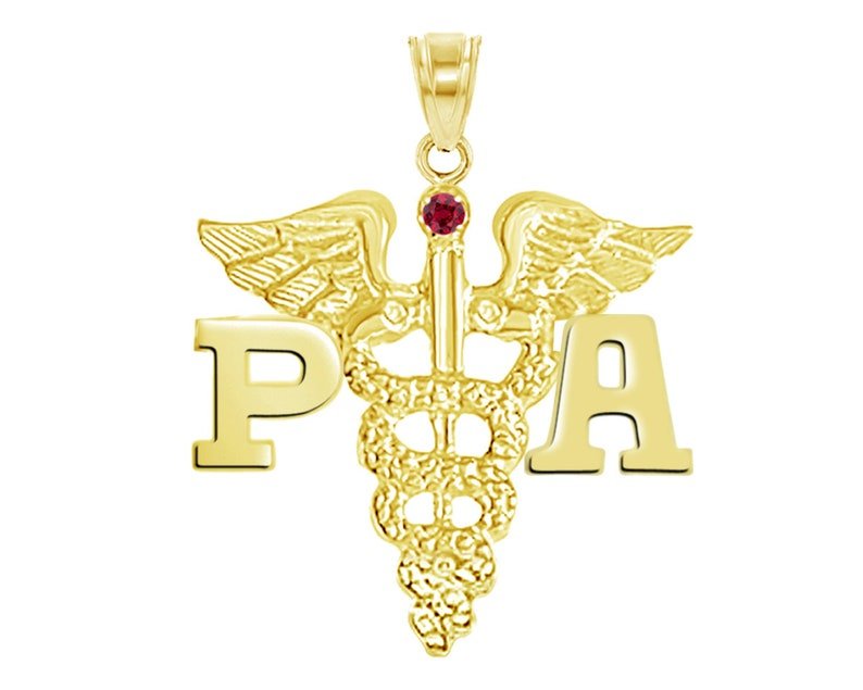 14K Gold Physician Assistant PA Charm - NursingPin.com