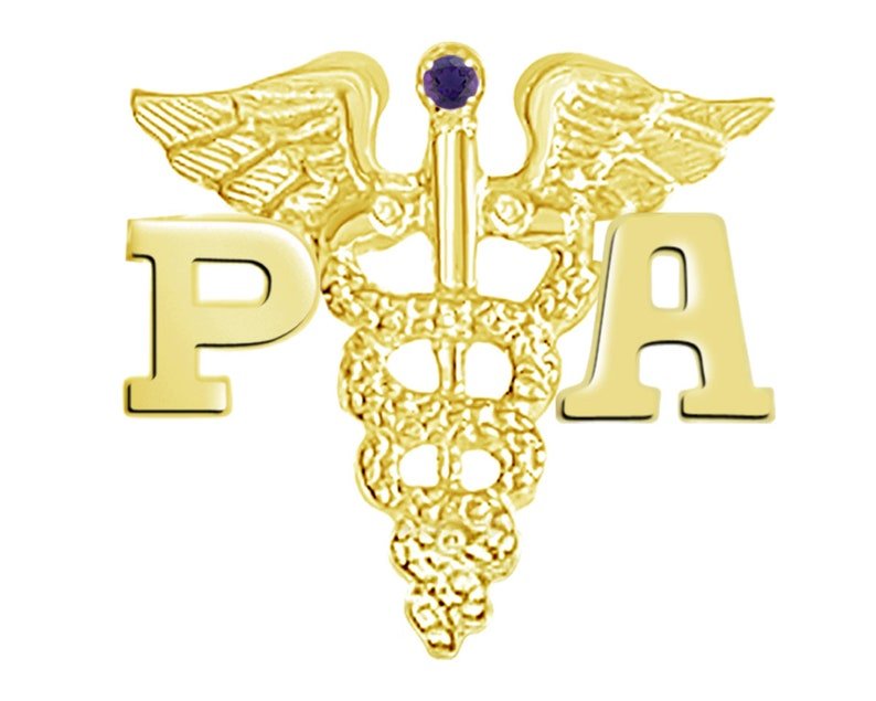 Nursing Pins