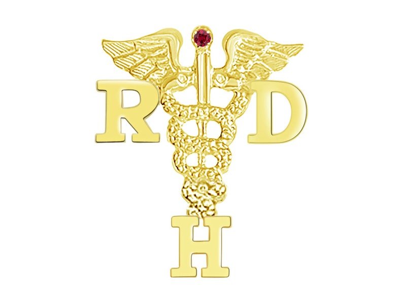 14K Gold RDH Registered Dental Hygienist Pin - NursingPin.com