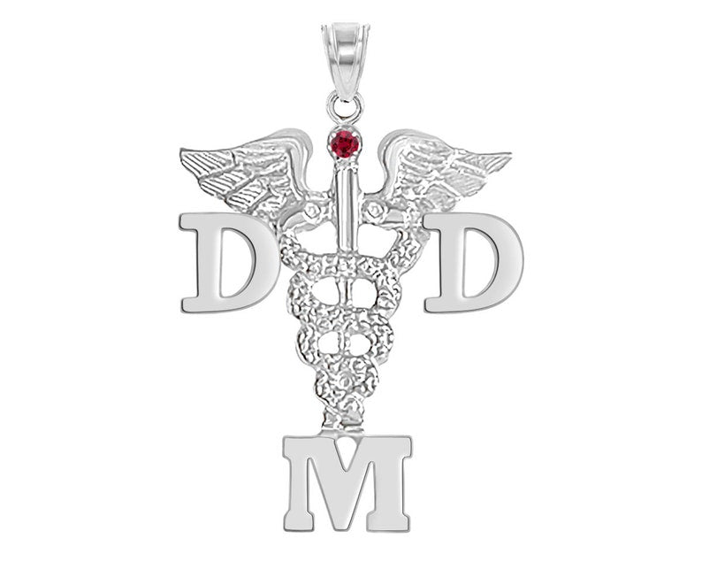 Doctor Dental Medicine DMD Dentist Charm - NursingPin.com