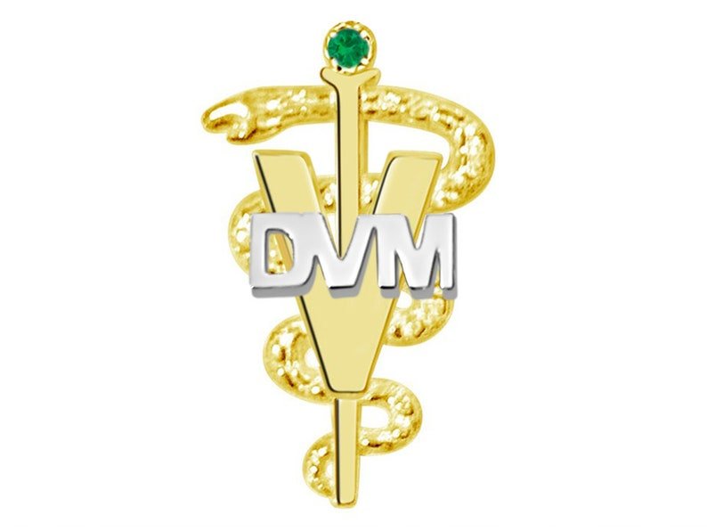 Nursing Pins