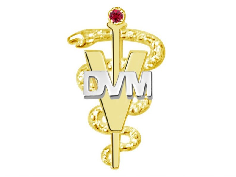 DVM Doctor of Veterinary Medicine Pin in 14K Yellow & White Gold - NursingPin.com