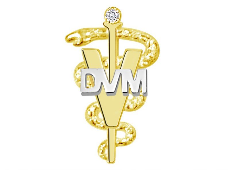 Nursing Pins