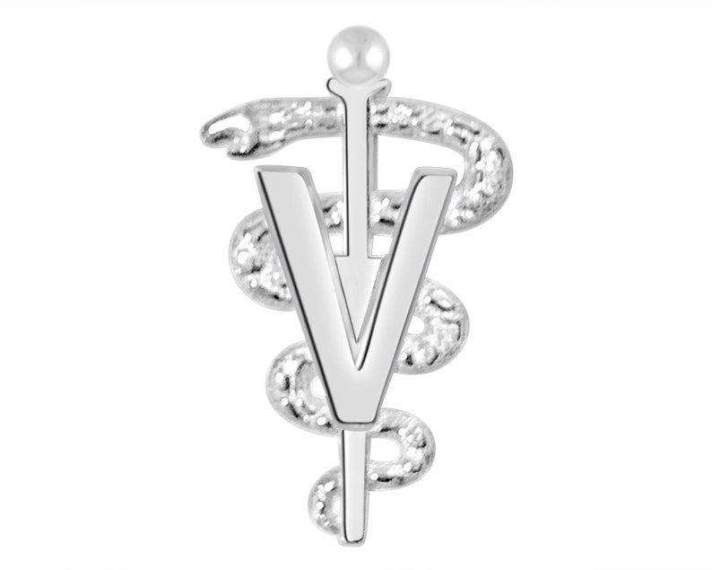 DVM Veterinarian Graduation Pin - Silver - NursingPin.com