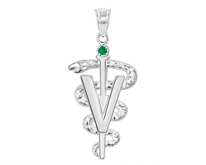 DVM Veterinarian Silver Graduate Charm - NursingPin.com