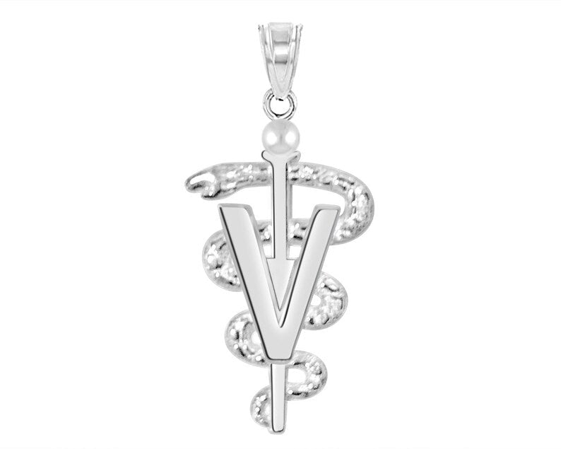 DVM Veterinarian Silver Graduate Charm - NursingPin.com