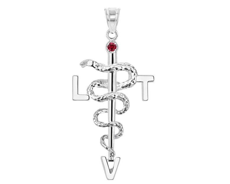 Licensed Vet Tech LVT Charm in Silver - NursingPin.com