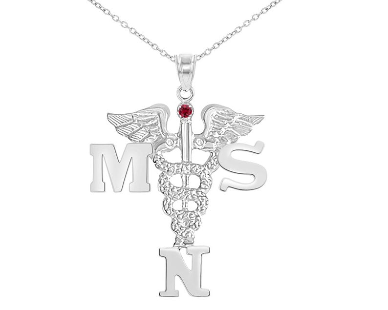 MSN Nurse Silver Necklace Jewelry & Gift - NursingPin.com