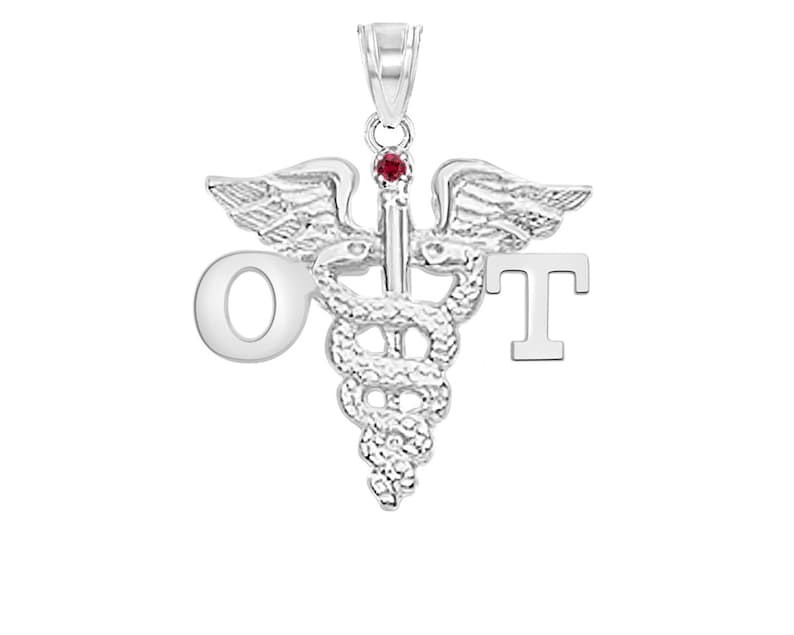 Occupational Therapist OT Silver Charm - NursingPin.com