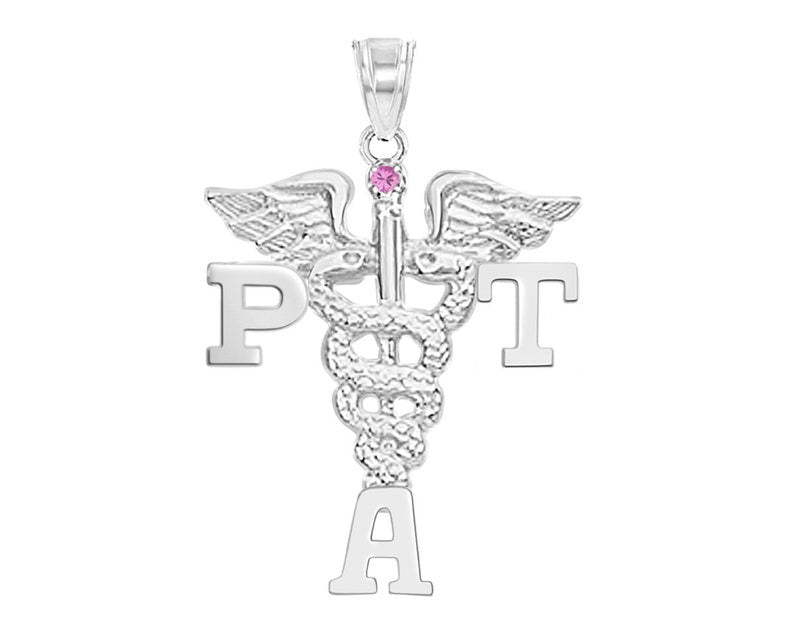 Physical Therapist Assistant PTA Charm - NursingPin.com