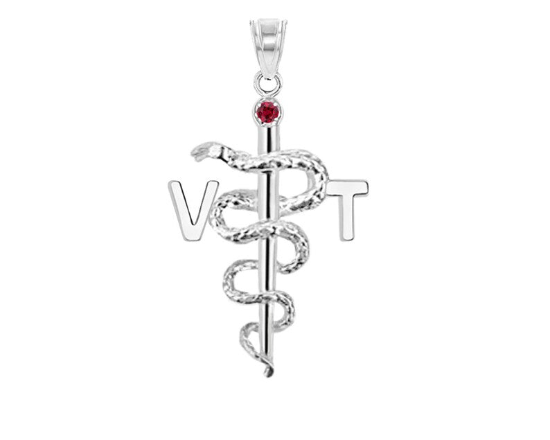 Vet Tech VT Silver Charm | Graduation - NursingPin.com