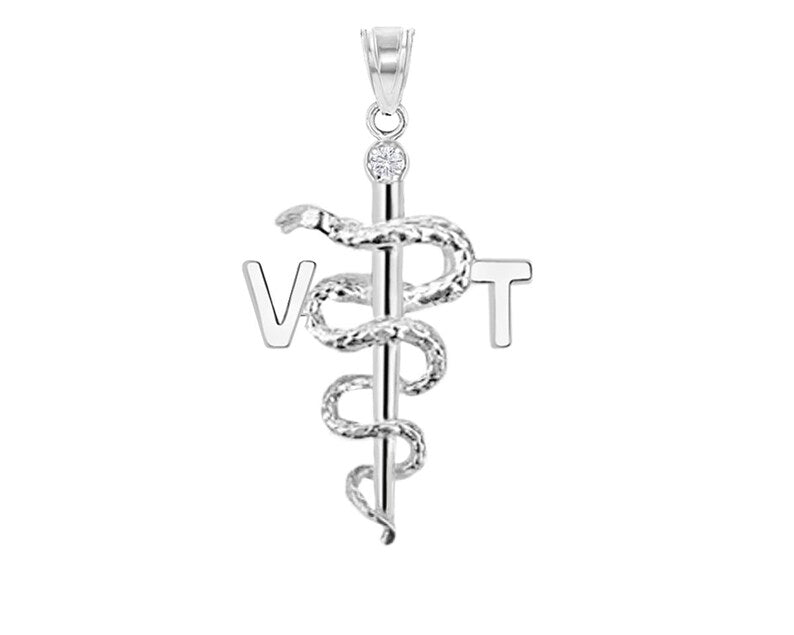 Vet Tech VT Silver Charm | Graduation - NursingPin.com