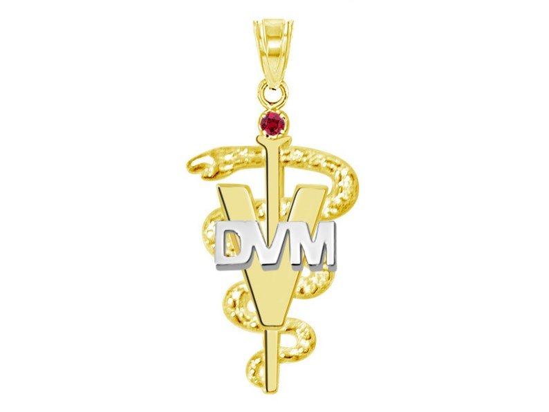 Nursing Pins