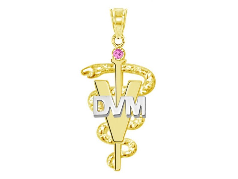 Veterinarian DVM Graduation Pendant in 14K Yellow and White Gold - NursingPin.com