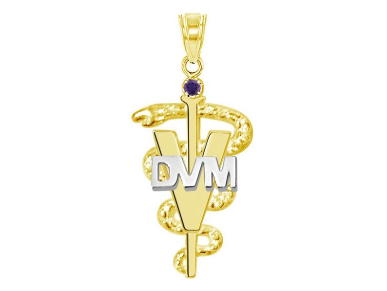 Nursing Pins