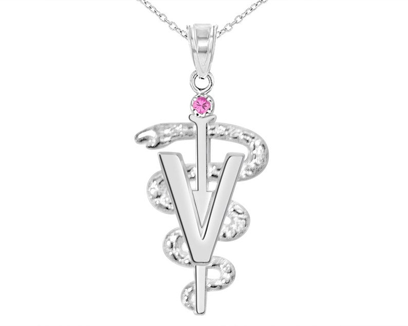 Veterinarian DVM Necklace Gift in Silver - NursingPin.com