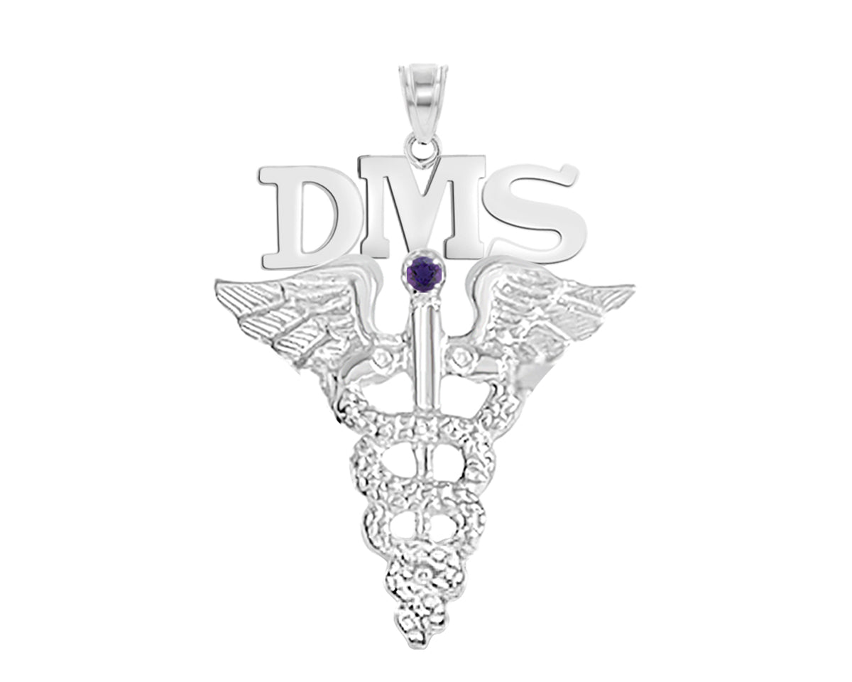 Diagnostic Medical Sonographer Pendant Charm with Amethyst