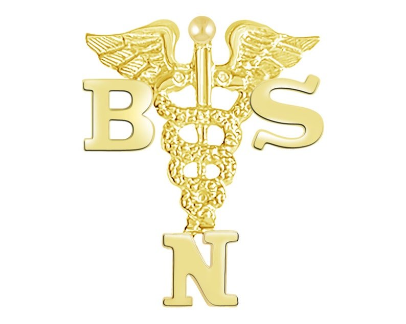 14K Gold BSN Graduation Nursing Pin - NursingPin.com