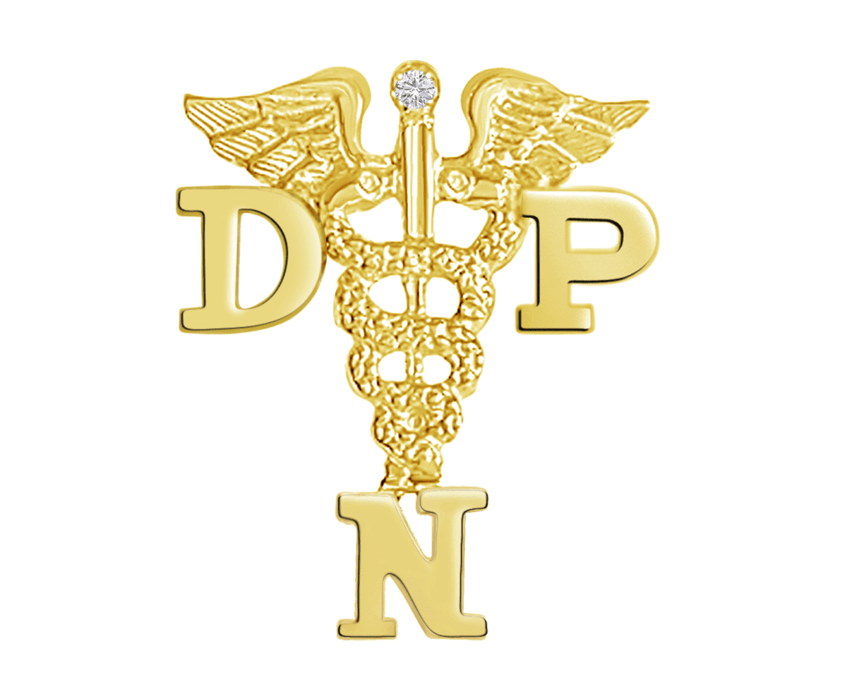 14K Gold DNP Dr of Nursing Practice Pin - NursingPin.com