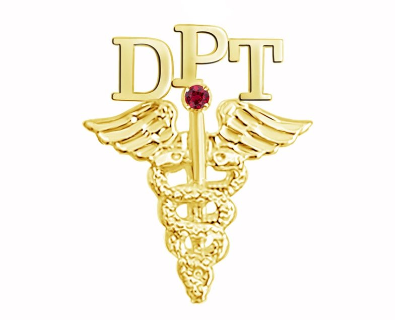 14K Gold DPT Dr of Physical Therapy Pin - NursingPin.com