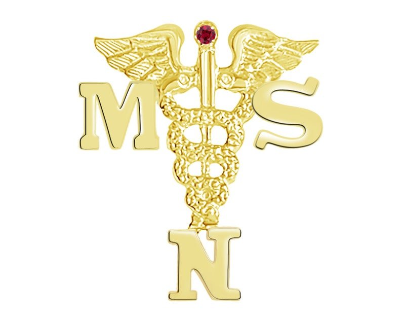 14K Gold MSN Masters in Nursing Science Pin - NursingPin.com