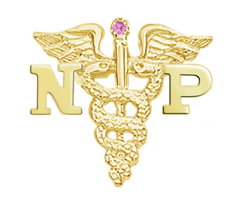14K Gold NP Nurse Practitioner Pin - NursingPin.com