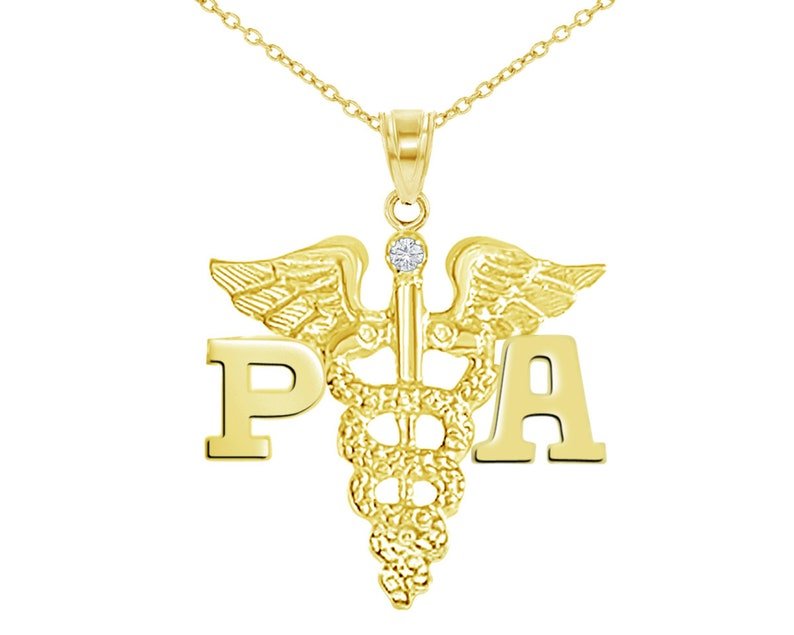 14K Gold PA Physician Assistant Charm Necklace - NursingPin.com