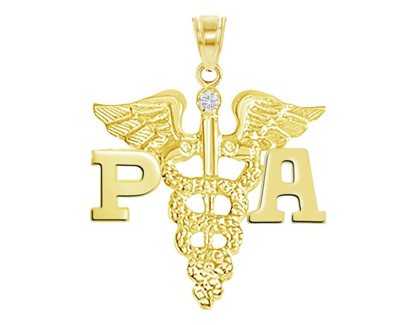 14K Gold Physician Assistant PA Charm - NursingPin.com