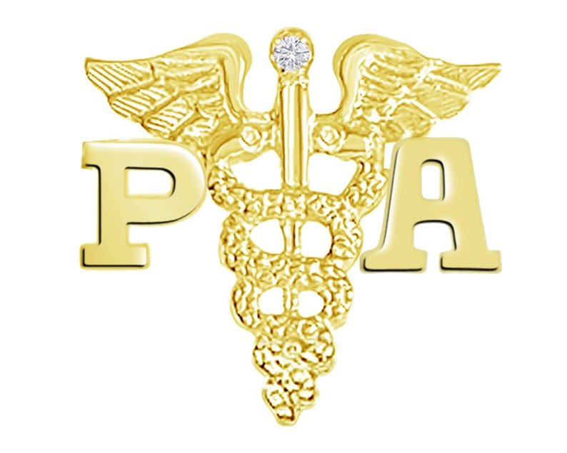 14K Gold Physician Assistant PA Graduate Pin - NursingPin.com