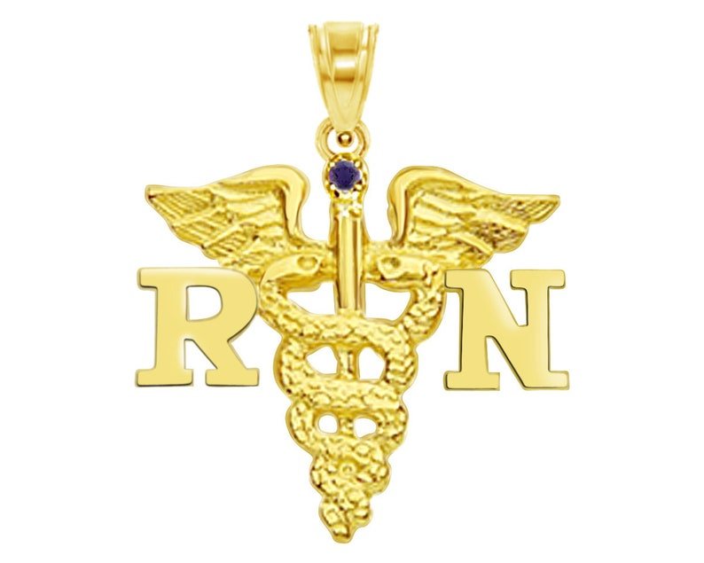14K Gold RN Registered Nurse Charm - NursingPin.com