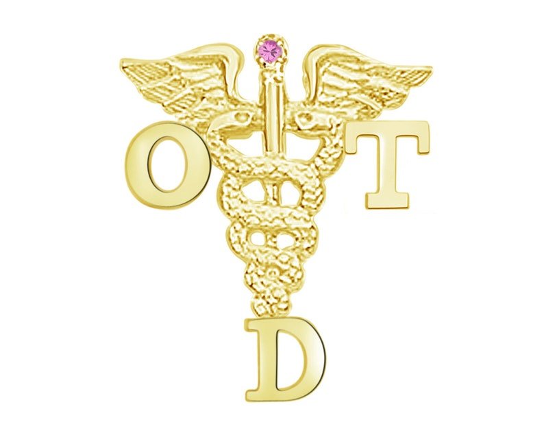 Doctor of Occupational Therapy 14K Gold Graduation Pin - NursingPin.com