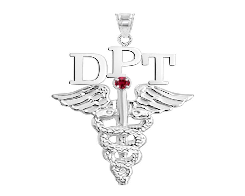 Doctor of Physical Therapy DPT Charm - NursingPin.com