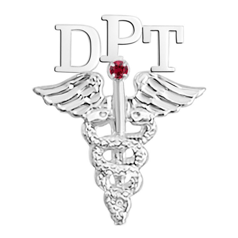 DPT Graduation Pin in Silver Doctor PT - NursingPin.com
