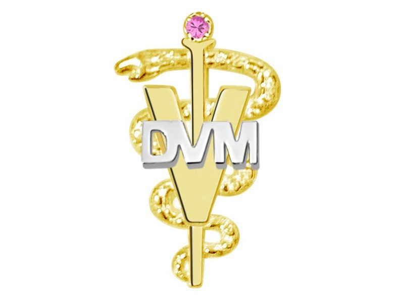 DVM Doctor of Veterinary Medicine Pin in 14K Yellow & White Gold - NursingPin.com