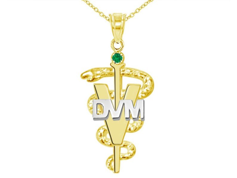 DVM Veterinarian Graduation Necklace in 14K Yellow and White Gold - NursingPin.com