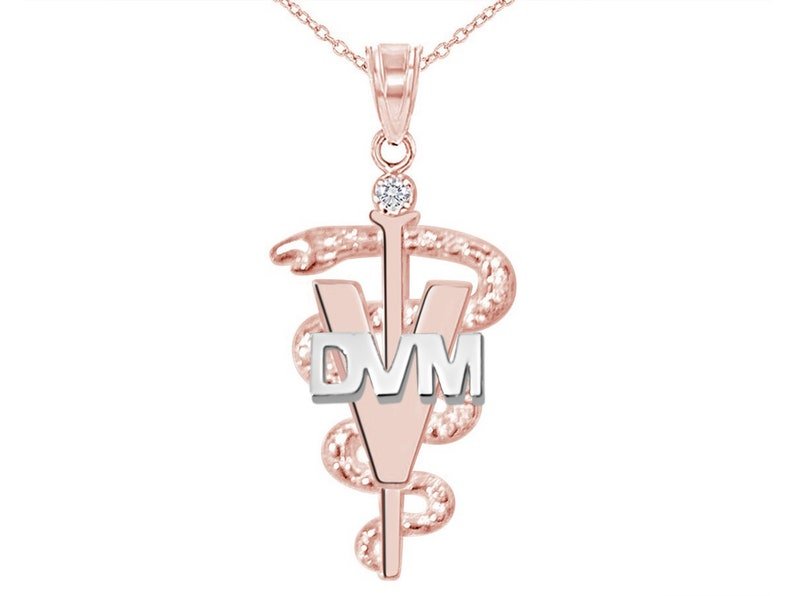 DVM Veterinarian Necklace in 14K Rose & White Gold with Diamond - NursingPin.com