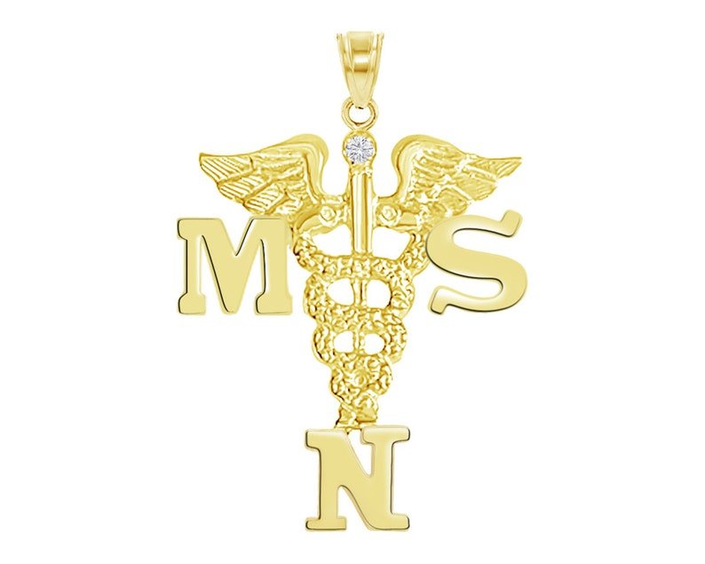Master of Science Nursing MSN 14K Charm - NursingPin.com