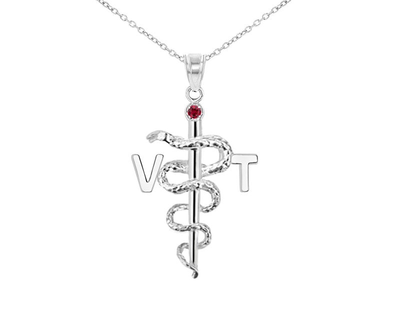 Vet Tech VT Charm Necklace in Silver - NursingPin.com